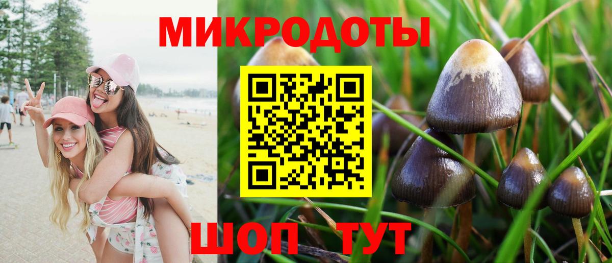 Галлюциногенные грибы Psilocybe  Вход с VPN  Железноводск 