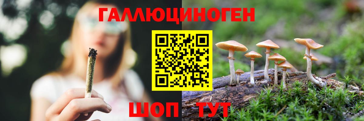 Галлюциногенные грибы прущие грибы Железноводск